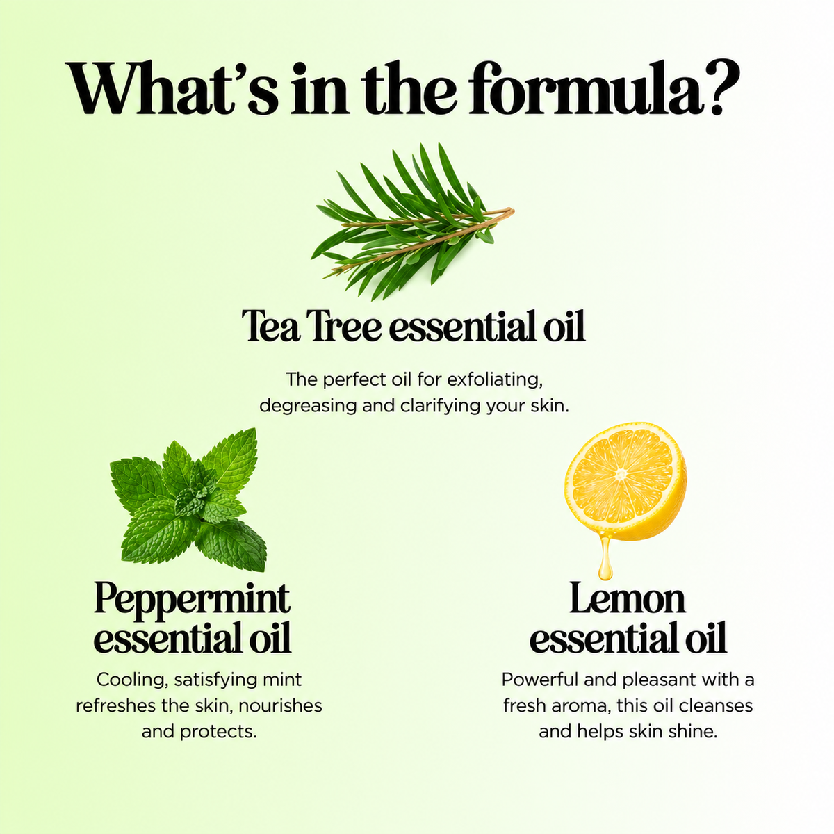 Holistics Tea Tree Oil Body Wash